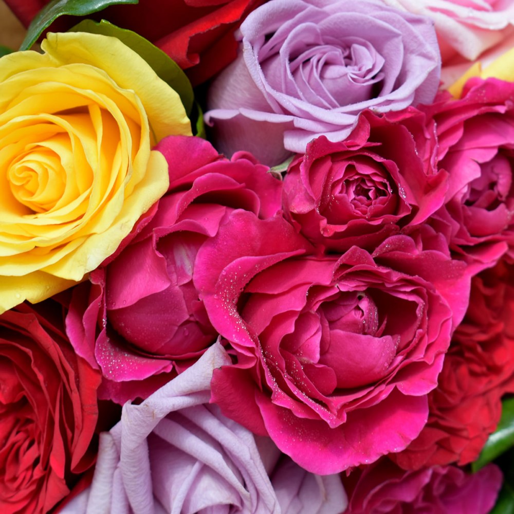 33e21527f2545fd72f6dc47889698d5b