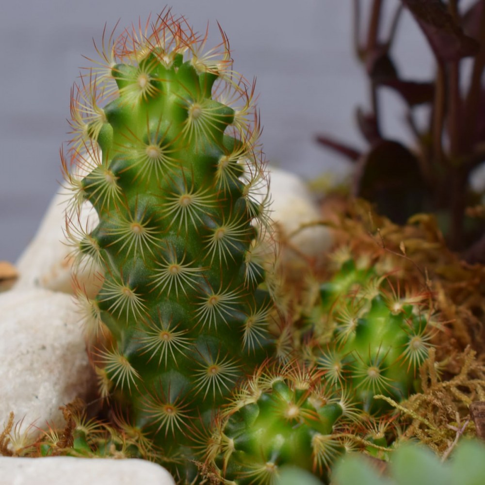 342e0716da3ded8513343822a3576792