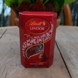 3457dc7cd44a806e7d49831ed11a616c