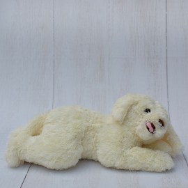 35a4348bf8f2d37da6e2bb3559384337