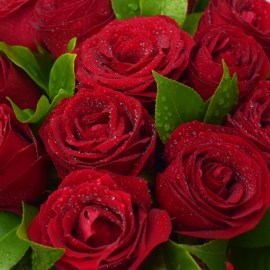 3627f731be595e17aa82040e66b88086