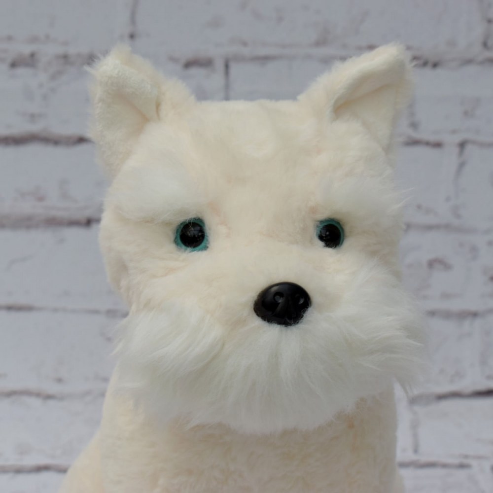 36eadc783c265a4059c7cd0cfd29960c