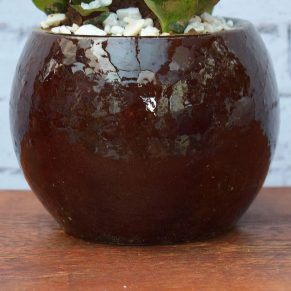 37cf8798cb5472da446ebe2d9ff758cc