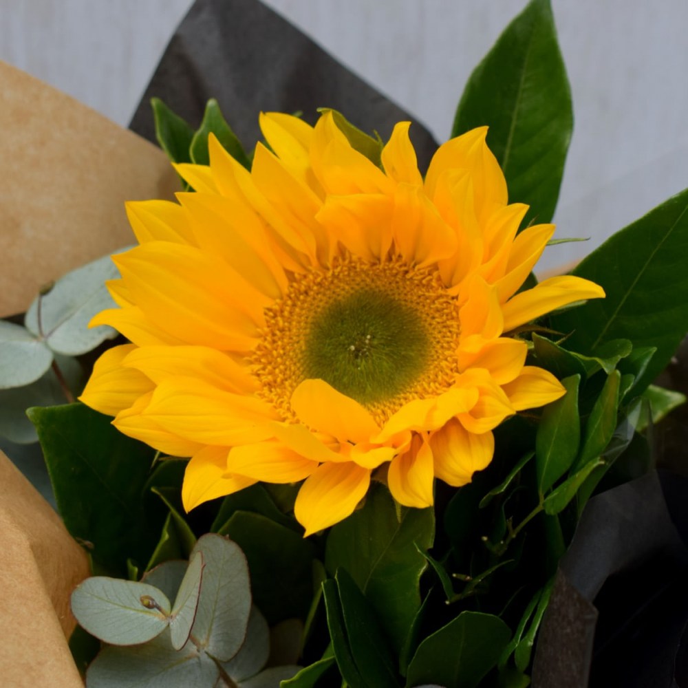 394693f58c7c20ab4886b1bda822e0a5