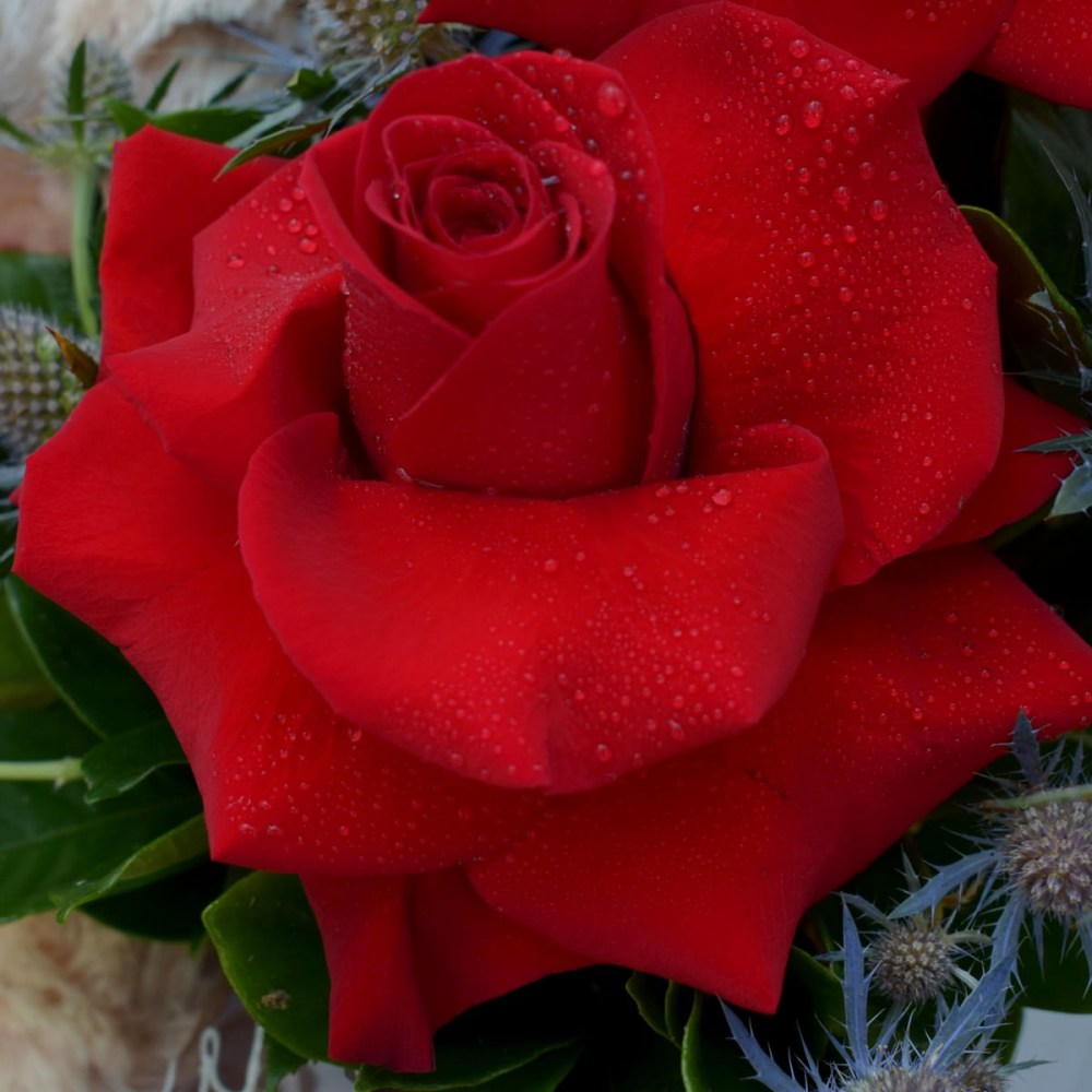 3ac3177e89956b341e9cf57ec88e1708