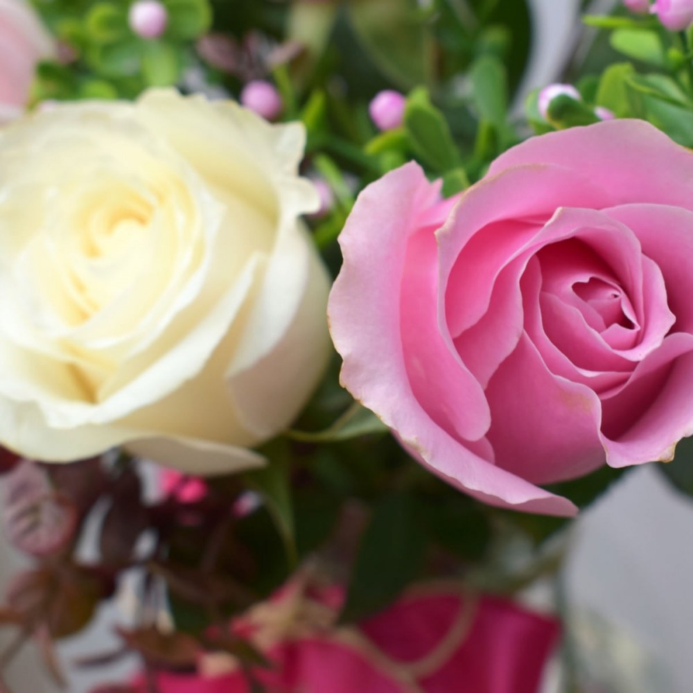 3af4173adb88e5f799ef600892e3bac9