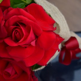 3c9c3edaa73e78cbbeb18daf63a0085d