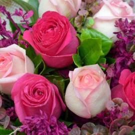 3cb4d4f2a12f886fb1461629d3002dc0