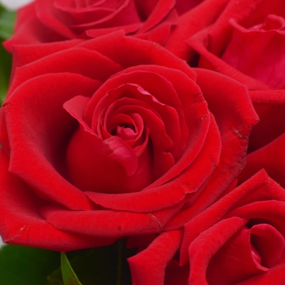 3cc666ed1d4613c329238d65456d8cab