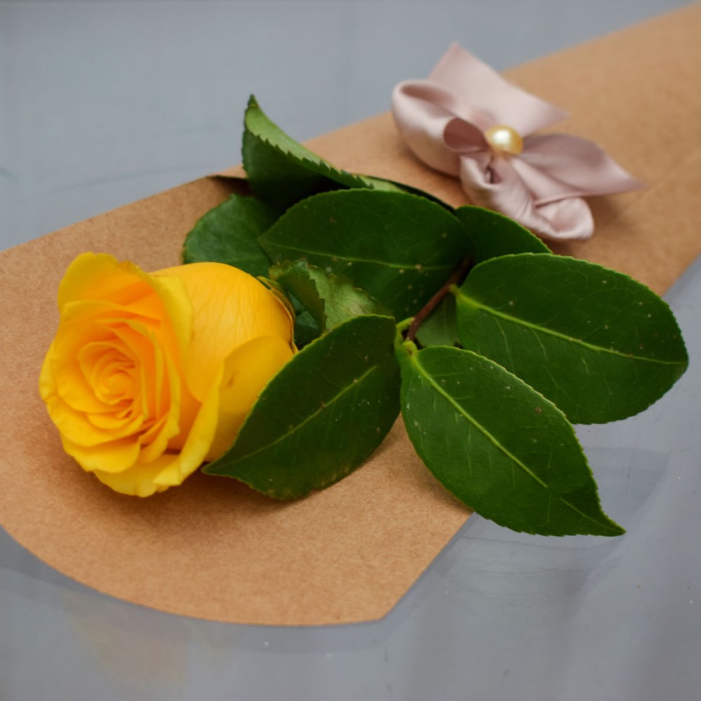 3f5abf28ec1559184c3f89f15dd71a5d