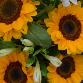 40087b9626d2fd864d82a4eedca0bc7c