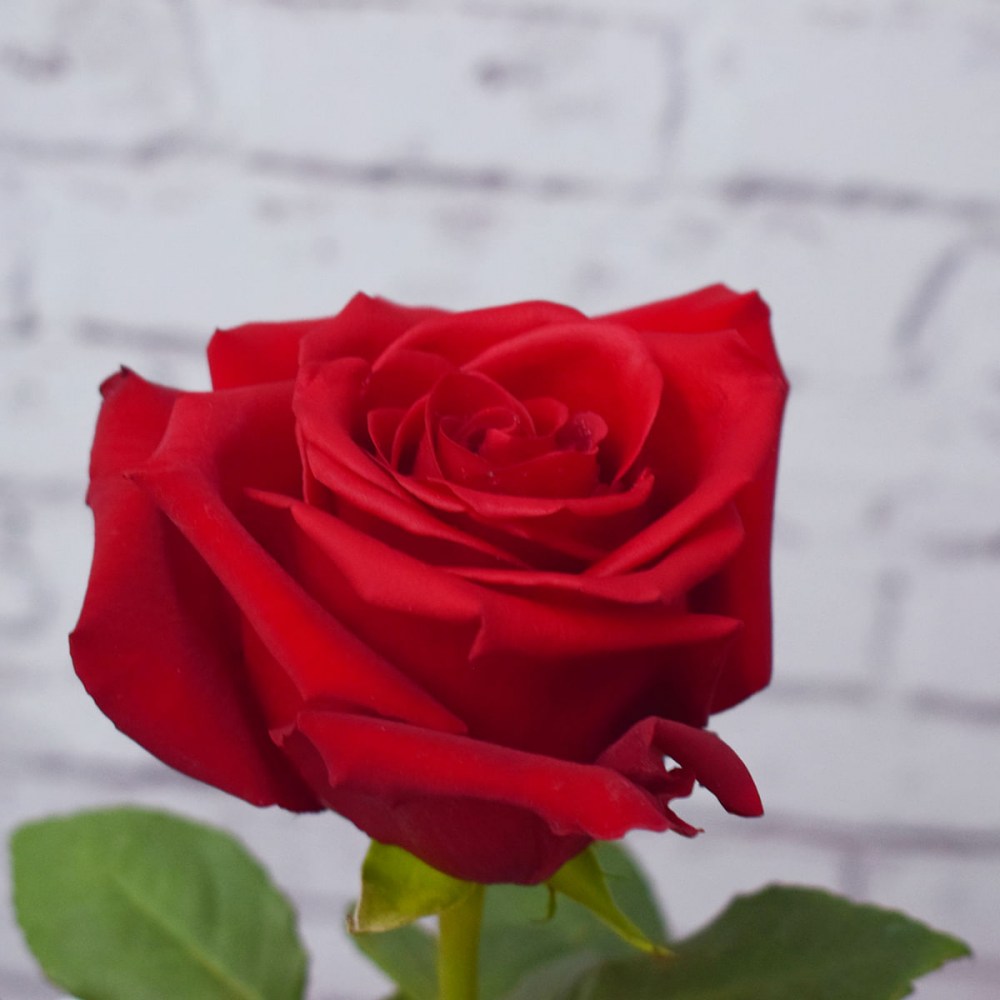 4096b0132fe03f6351749970b858df56