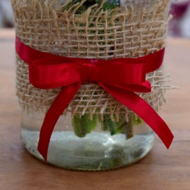 40cf0f8db26412bf4131587dedf2a72c