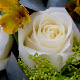 40e7041e7c080919edcc997b2efbec88