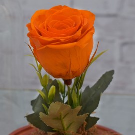 41d6be3bb053e8f9ee152982a3a0fa7a