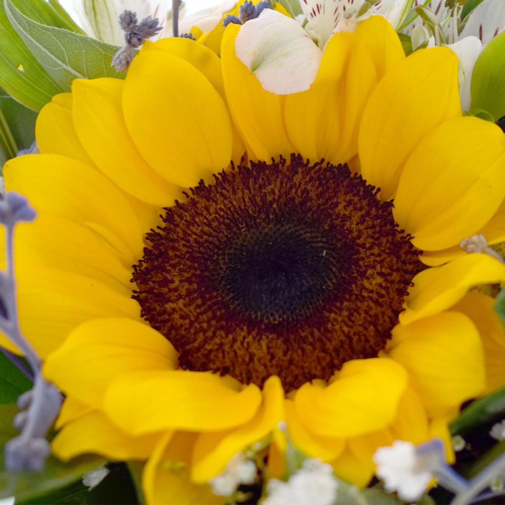 43643ce04f6e47ce157675cf3f320420