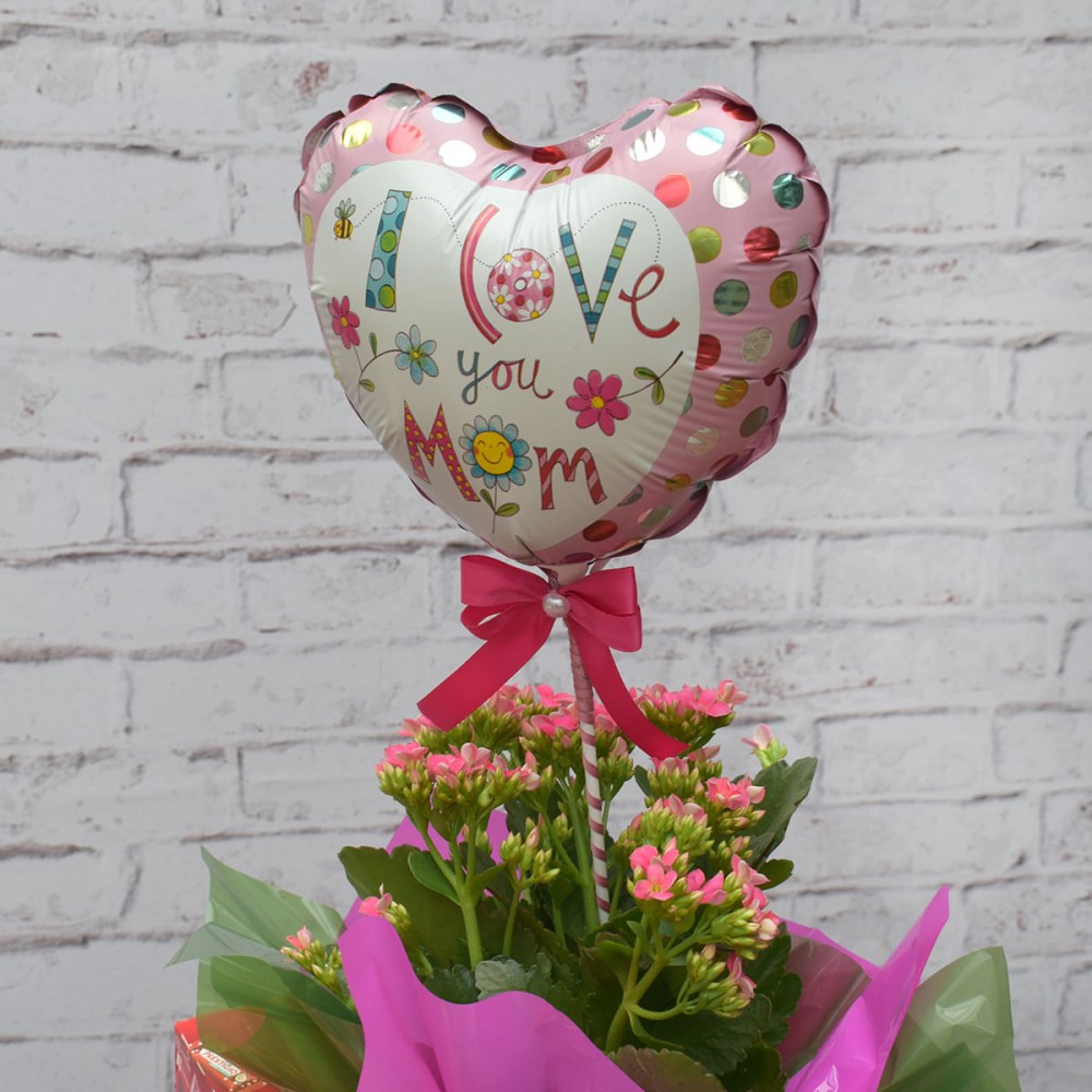 45047956738cfef16bcfacfeebb84855