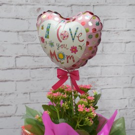 45047956738cfef16bcfacfeebb84855