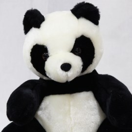 45e85e5f54ff1c0ac8153e3d0b57ce55