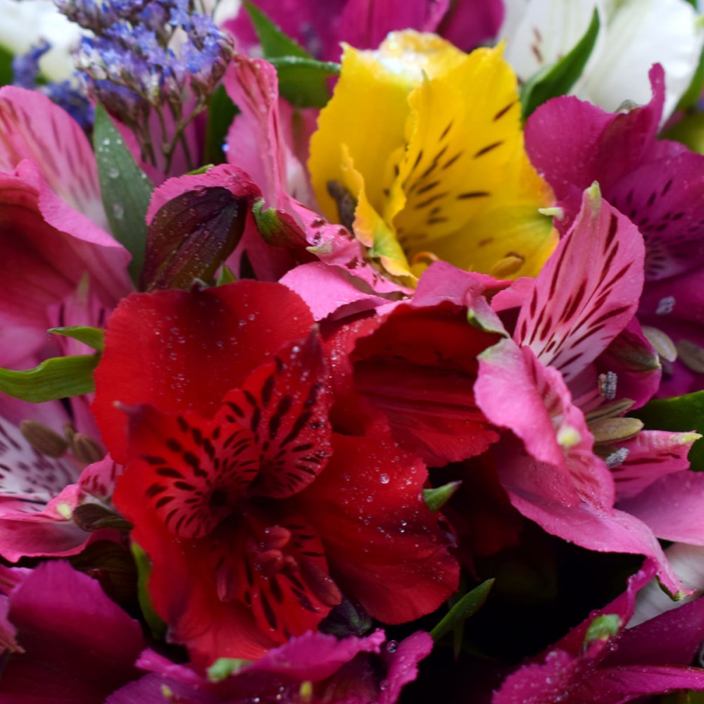 4654230b892437b4d3c2a623f779aba4