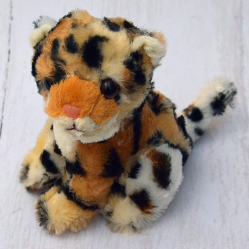 467e2b90217058c8af97bb0188f923cc