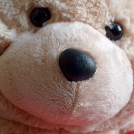 469df52c1b96e8f2273f1310bb248b49