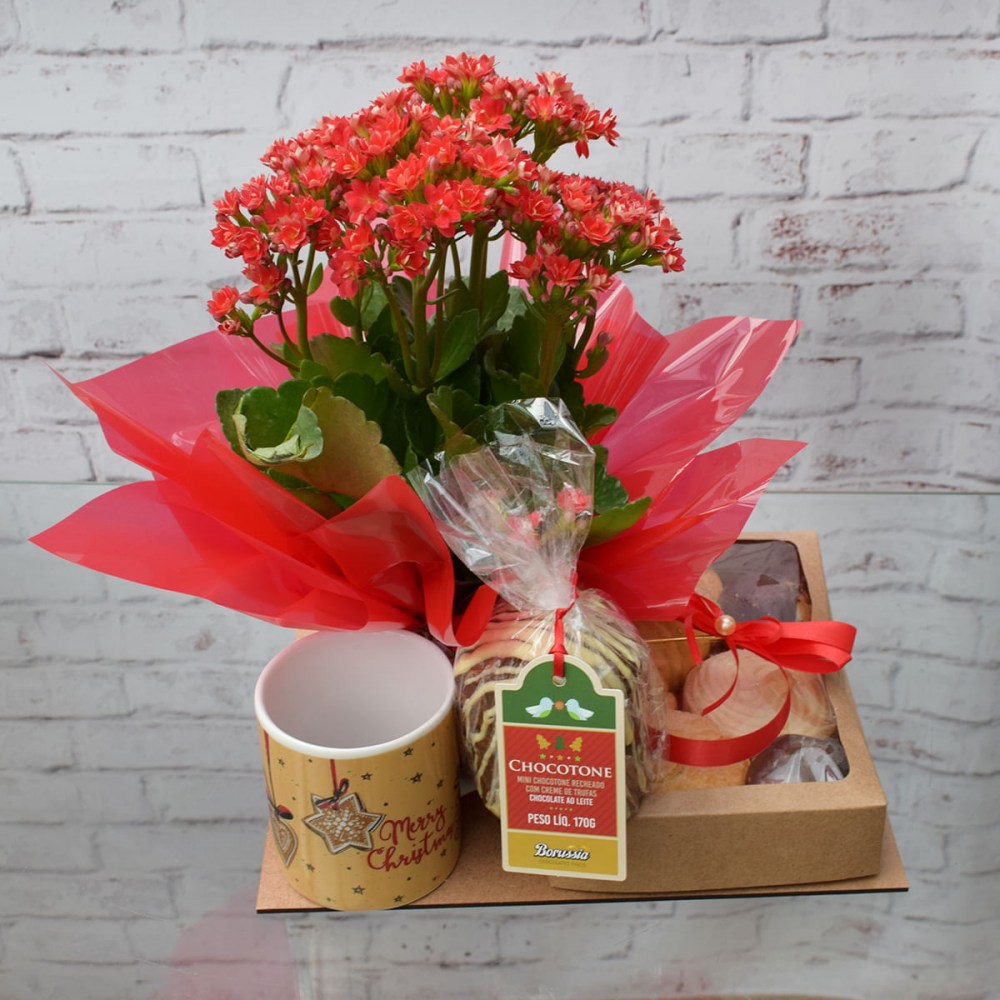 49517ba8c1fc9f46fc14cf8caaa85c12