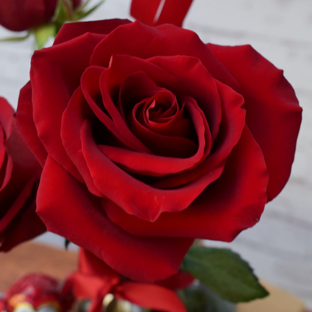 4aafa4a2d42e3edf25f35633c46983e5