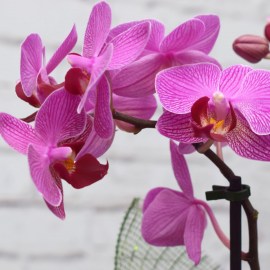 4bfa44a2dd4693f93cac598dbd8c840f