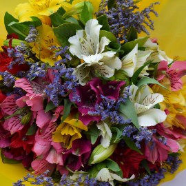 4d2bc37055f90432ffd7647a6582437e