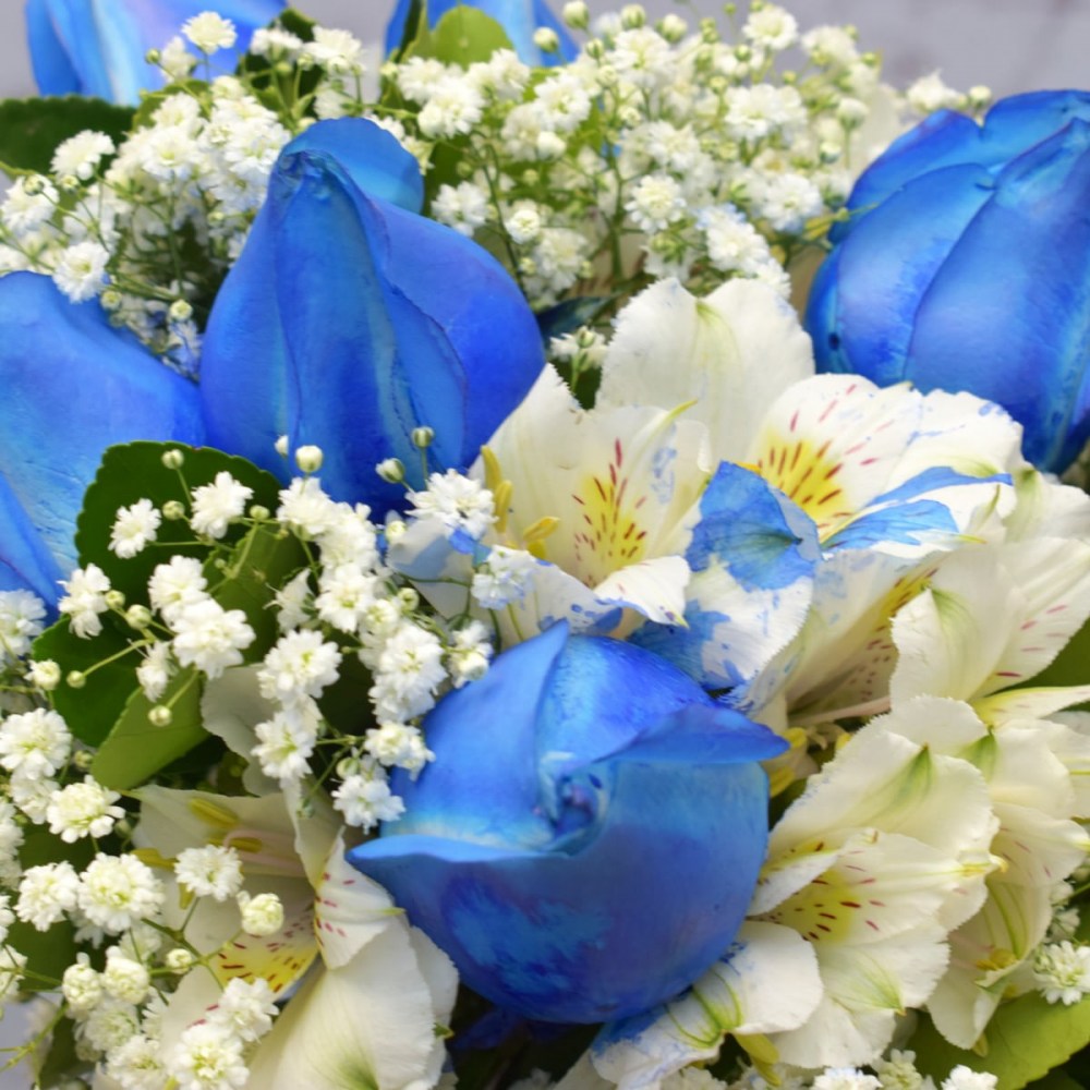 4ff803a050cd03f5693254ba6147b7ba