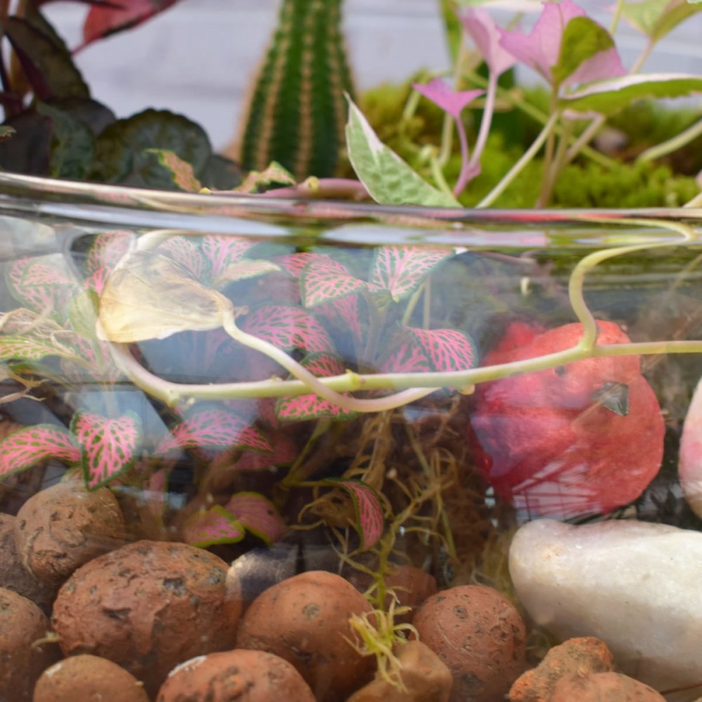 529d50bbd23881b7d303b0a5f3a559e1