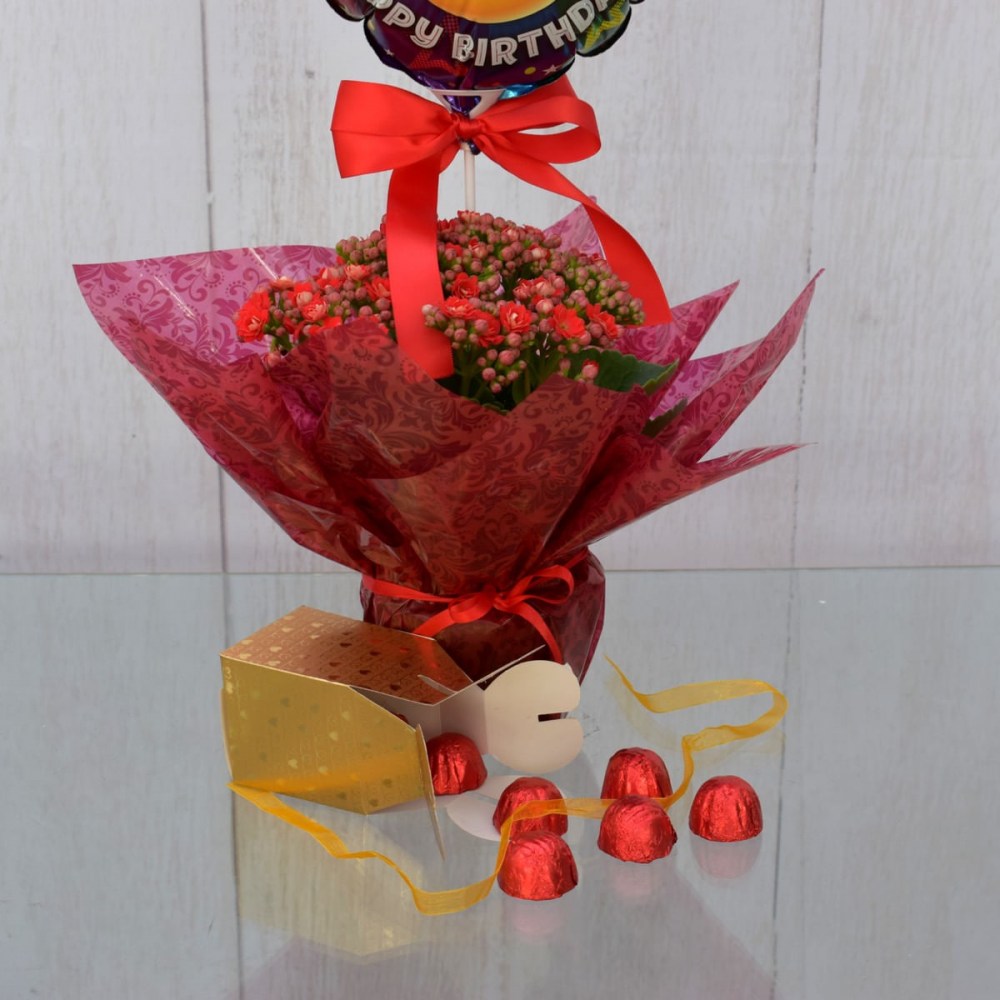 53742bf95873efde9bc96dfd6f7cb04e