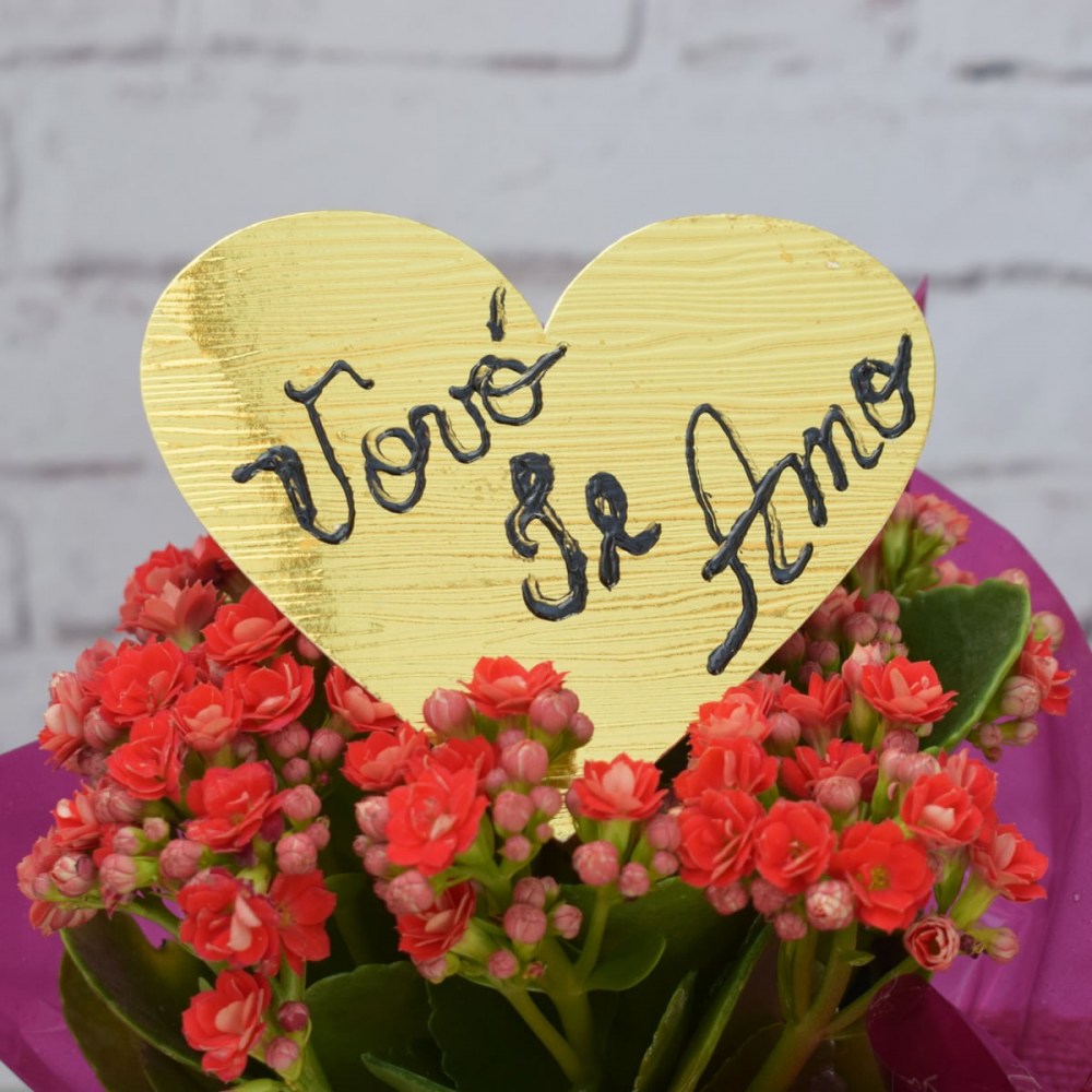 539f19e2e723032359252cbb4d909924