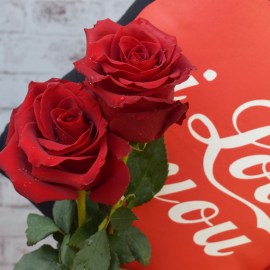 54e306126c66c7d9bb6ddff1b9f357bb