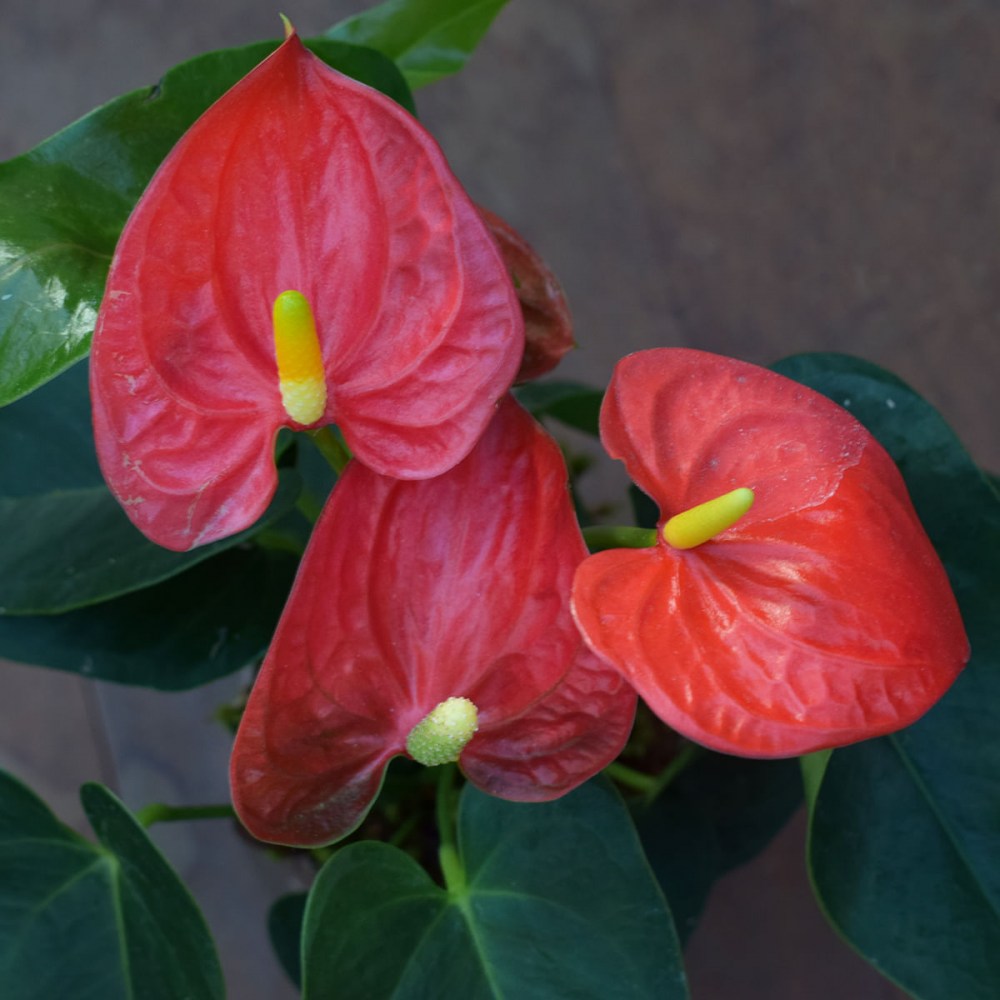 557f7a8fa5dc030afcd0e06be339120b