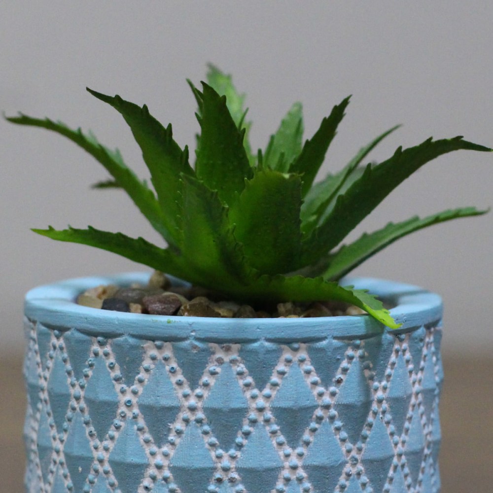 55afd47b383cbccc02558d23cca3a89a