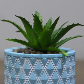 55afd47b383cbccc02558d23cca3a89a