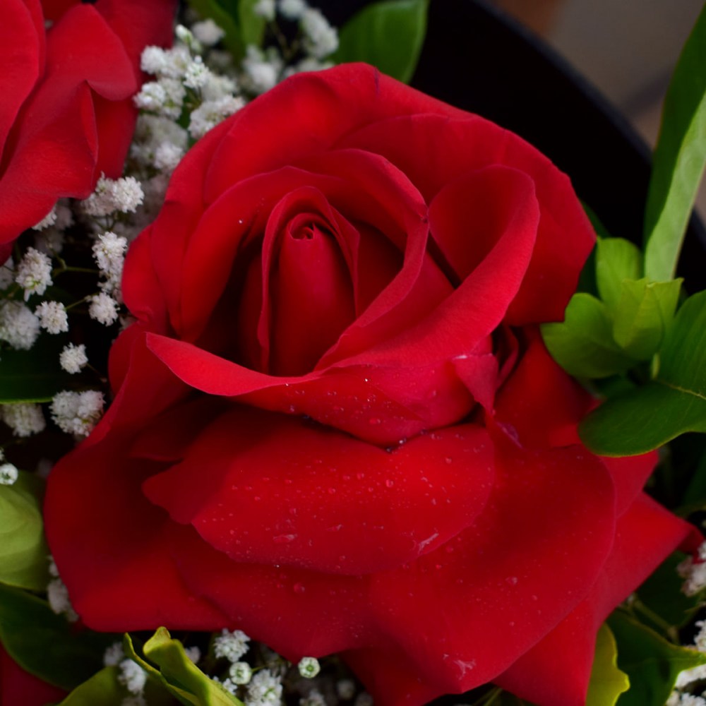 56f4fbd1843625a35551a40233ae5c54