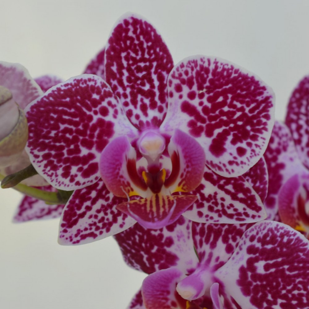 5743c091bd0b5bb866300bea874bb954