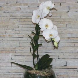 5940de108f5aaabc728bc9fccf9ff13b