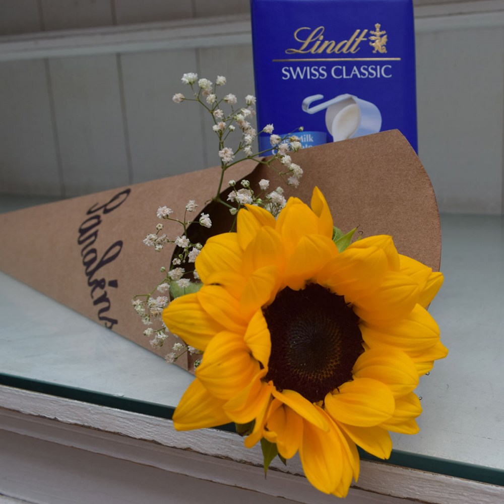 59f90e76ee95a7f206f17e3d2613e7b6