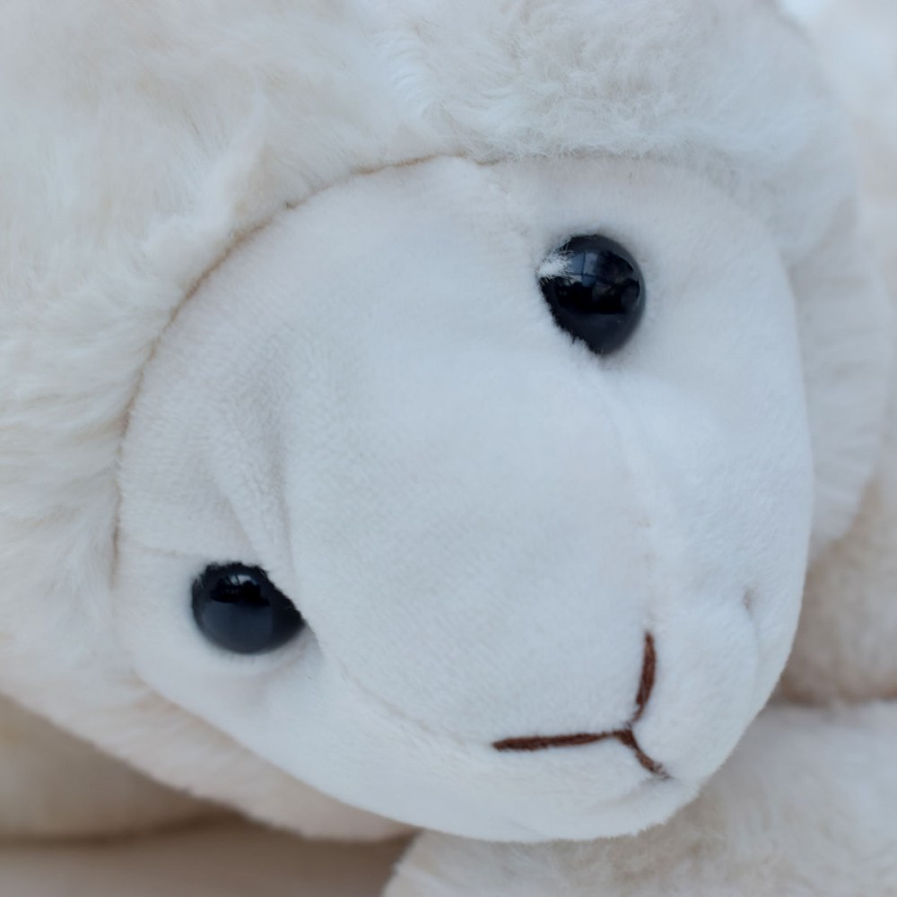 5c59d5a3e73a5d5ebbb9a24938f818a2