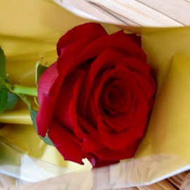 5c6b1c2e7108abef725057d51c3945e0