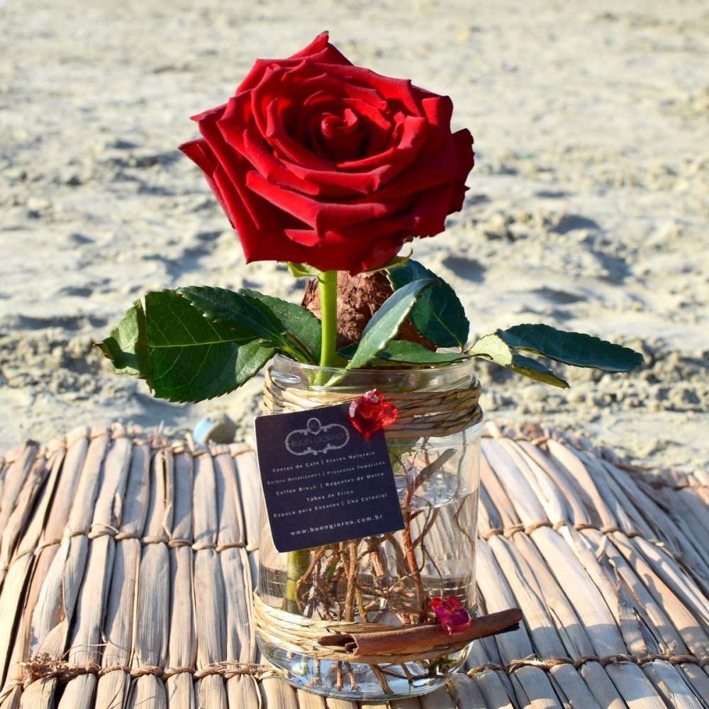 5ca7fbc88e46ab06d4bcfcda0796b78a