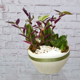 5d83eb9a1675d3f709bf0c98c184b1f5