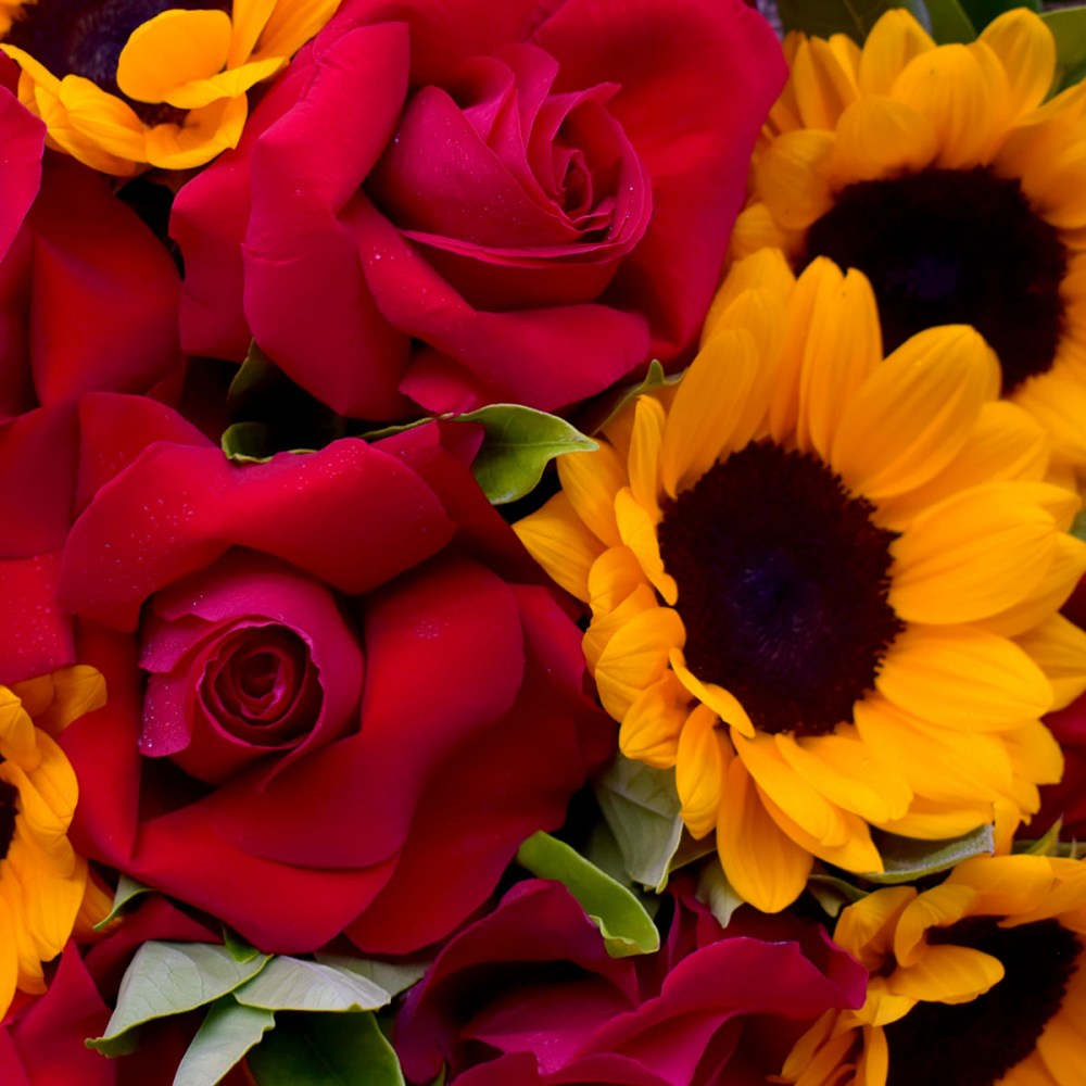 5e2dc17ecfb611186a2a4f71345437b1