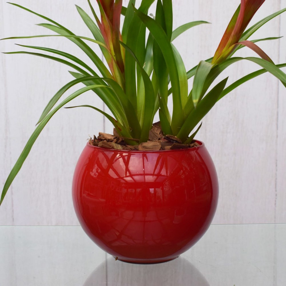 5e5415504ee4aeebe6b5f17bf589627e