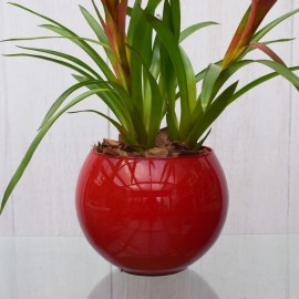 5e5415504ee4aeebe6b5f17bf589627e