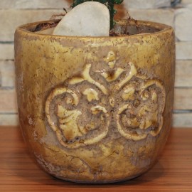 5ed9bd34f1a3f5b4a5ea3de34cd0c722